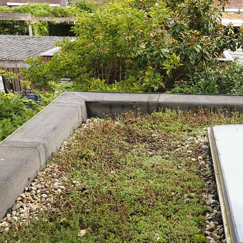 Schetsontwerp van TT ontwerp afbeelding 1 van TT ontwerp